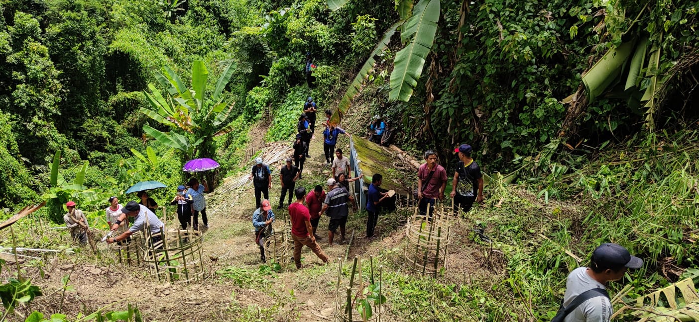 Plantation at Sairep